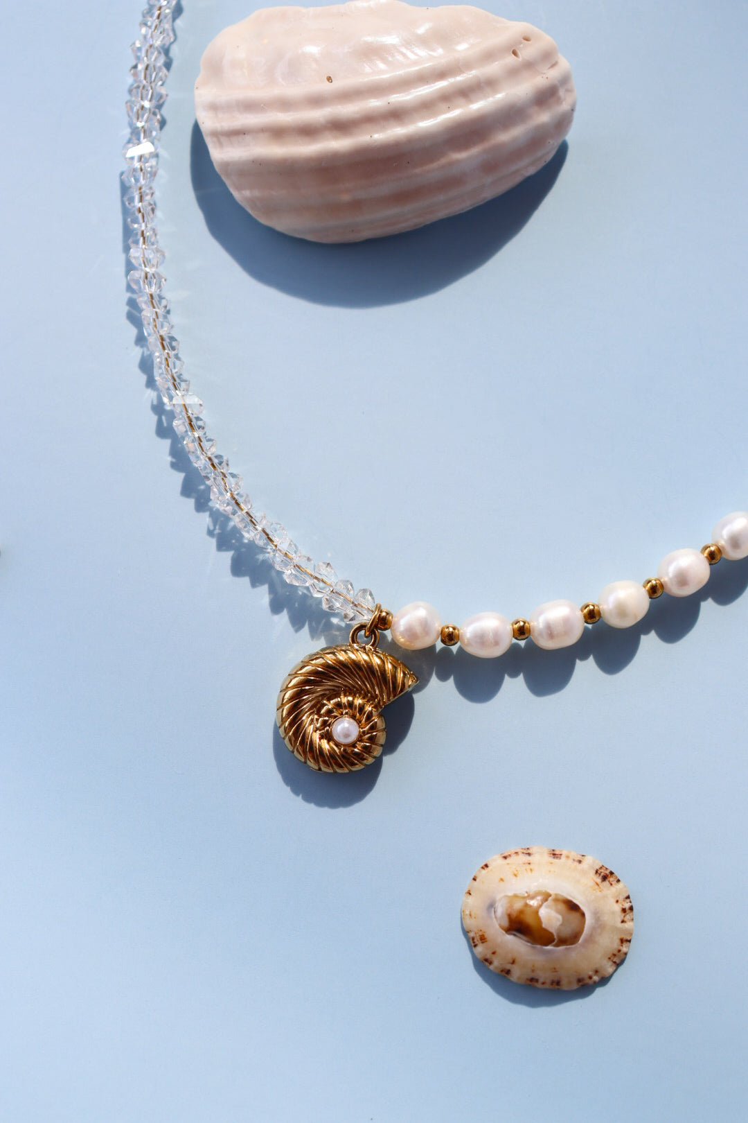 Nautilus Necklace