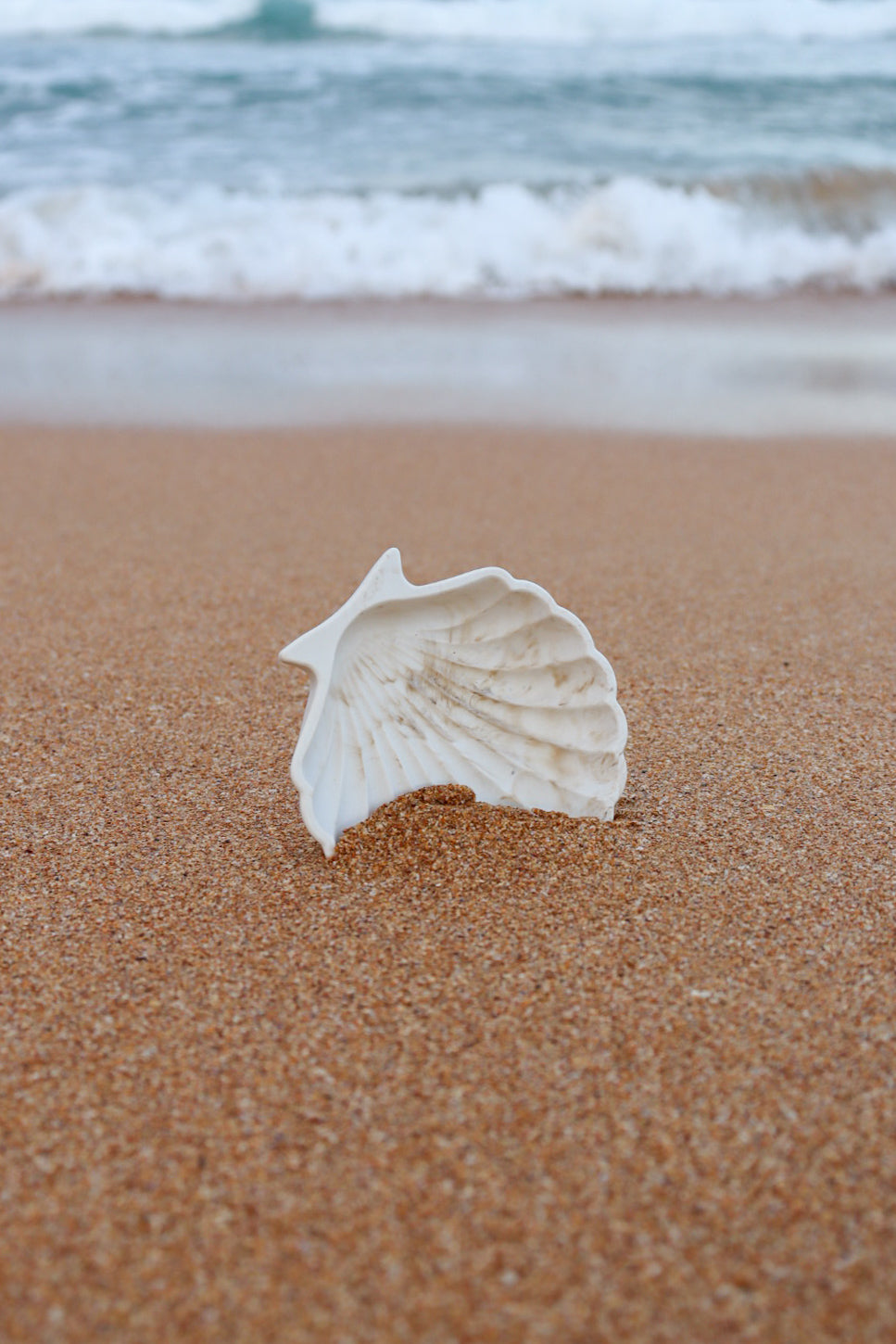 Cove tray