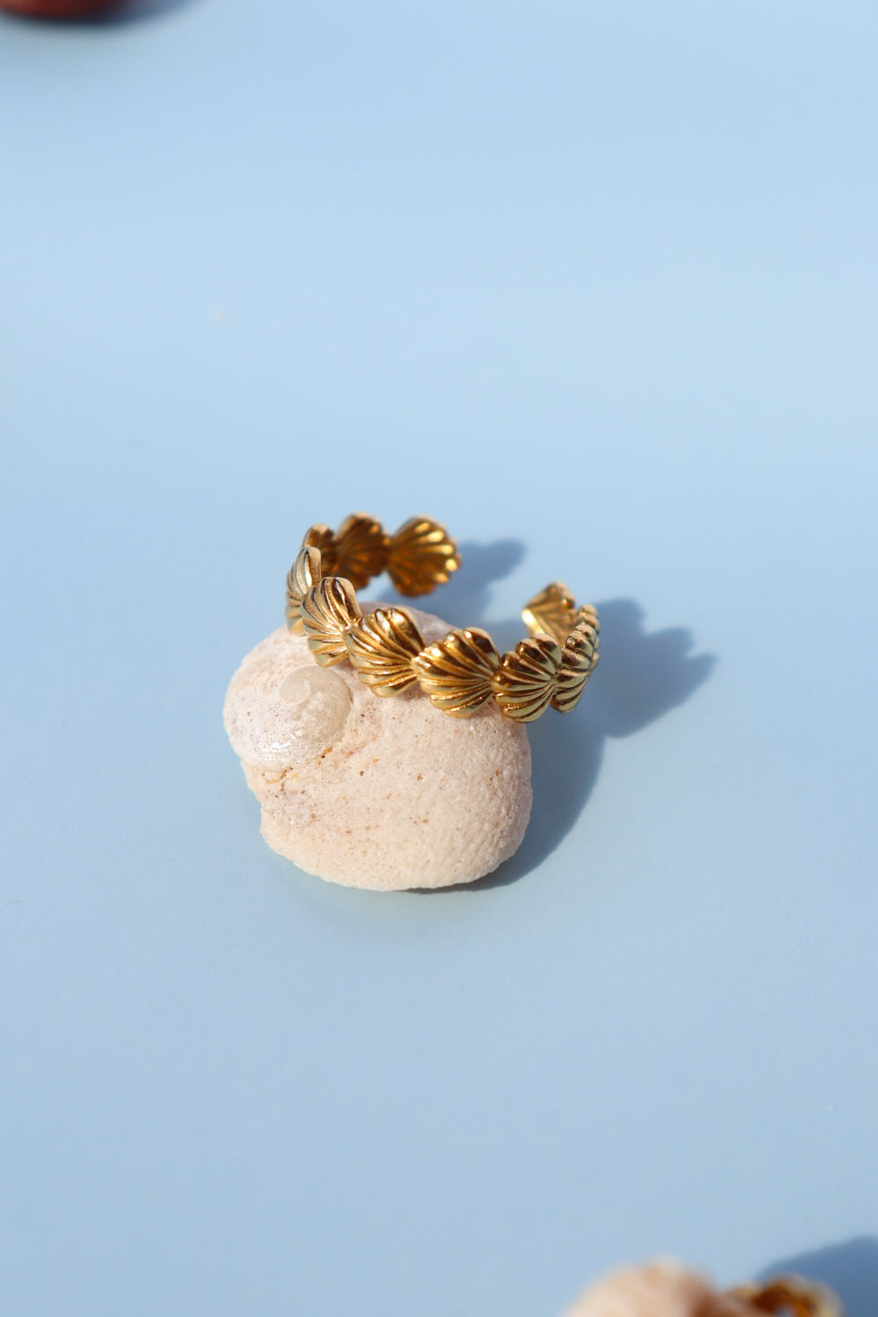 Shelly Ring